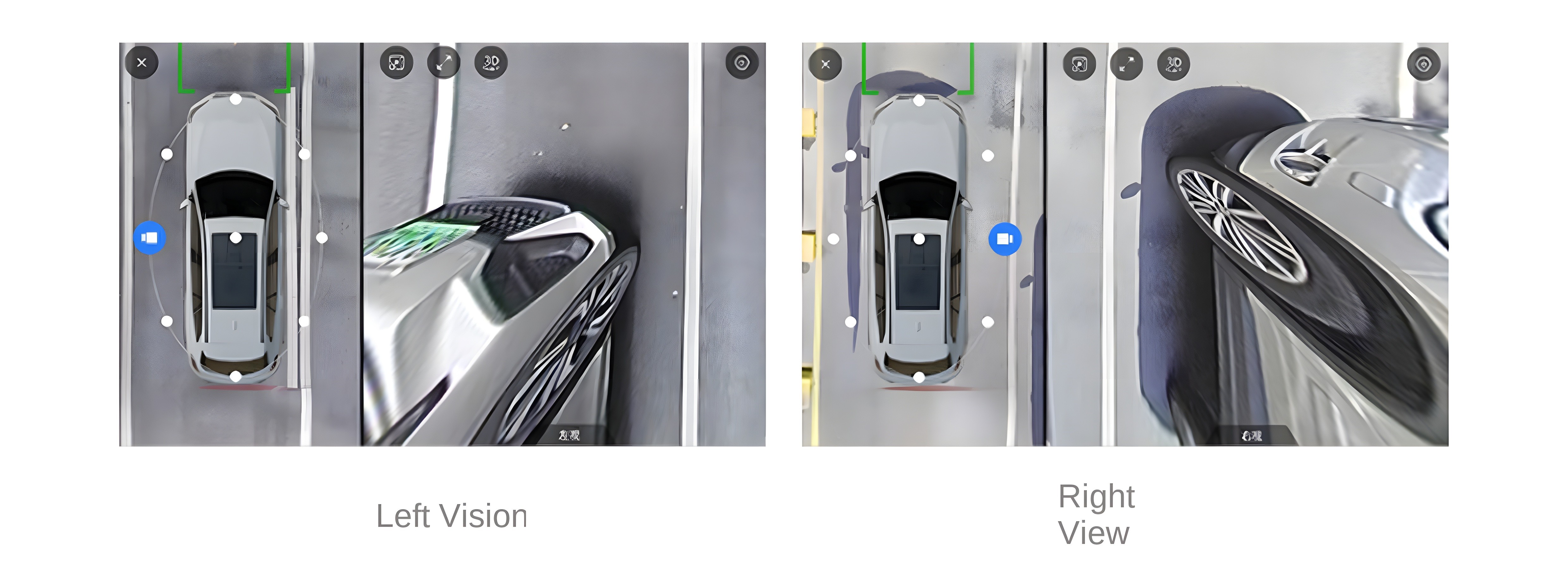 Left and Right Vision