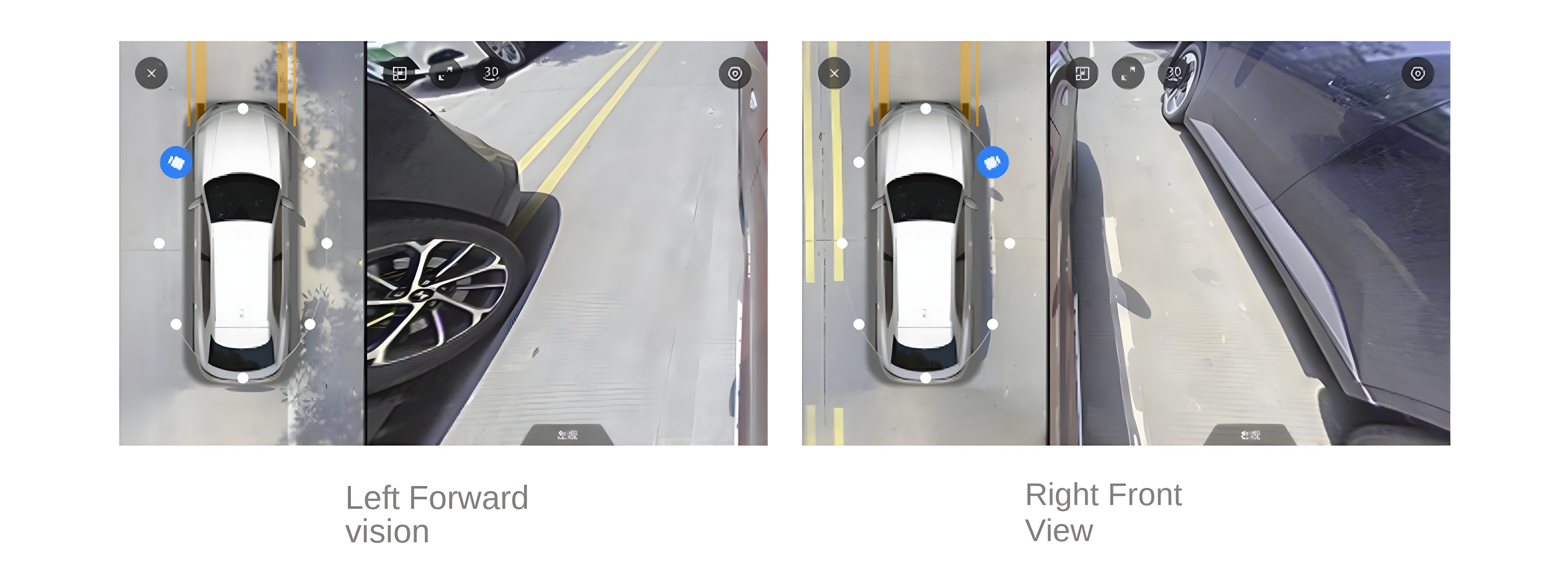 Left Forward and Right Front Vision