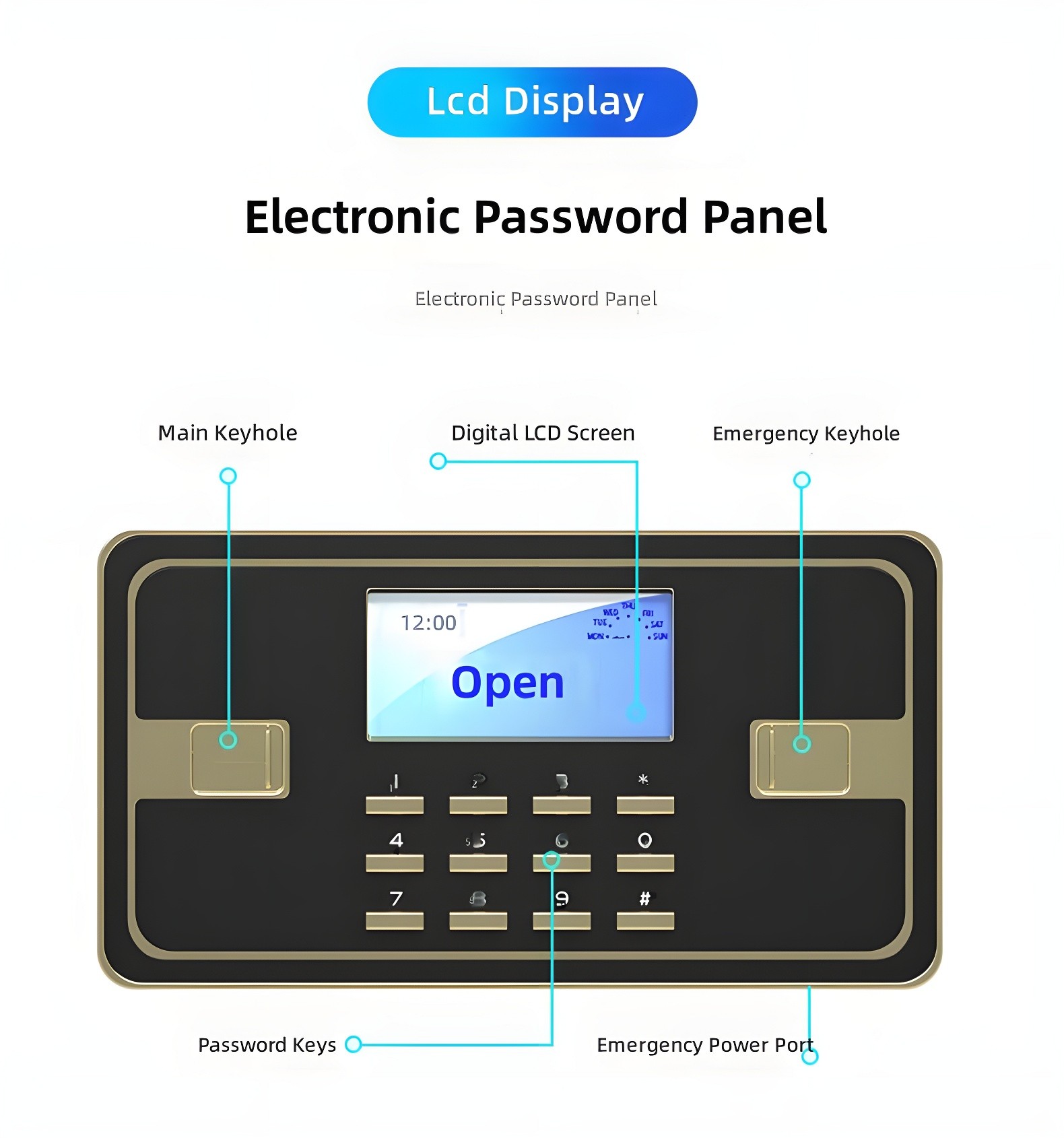 LCD Display and Electronic Password Panel with labeled components