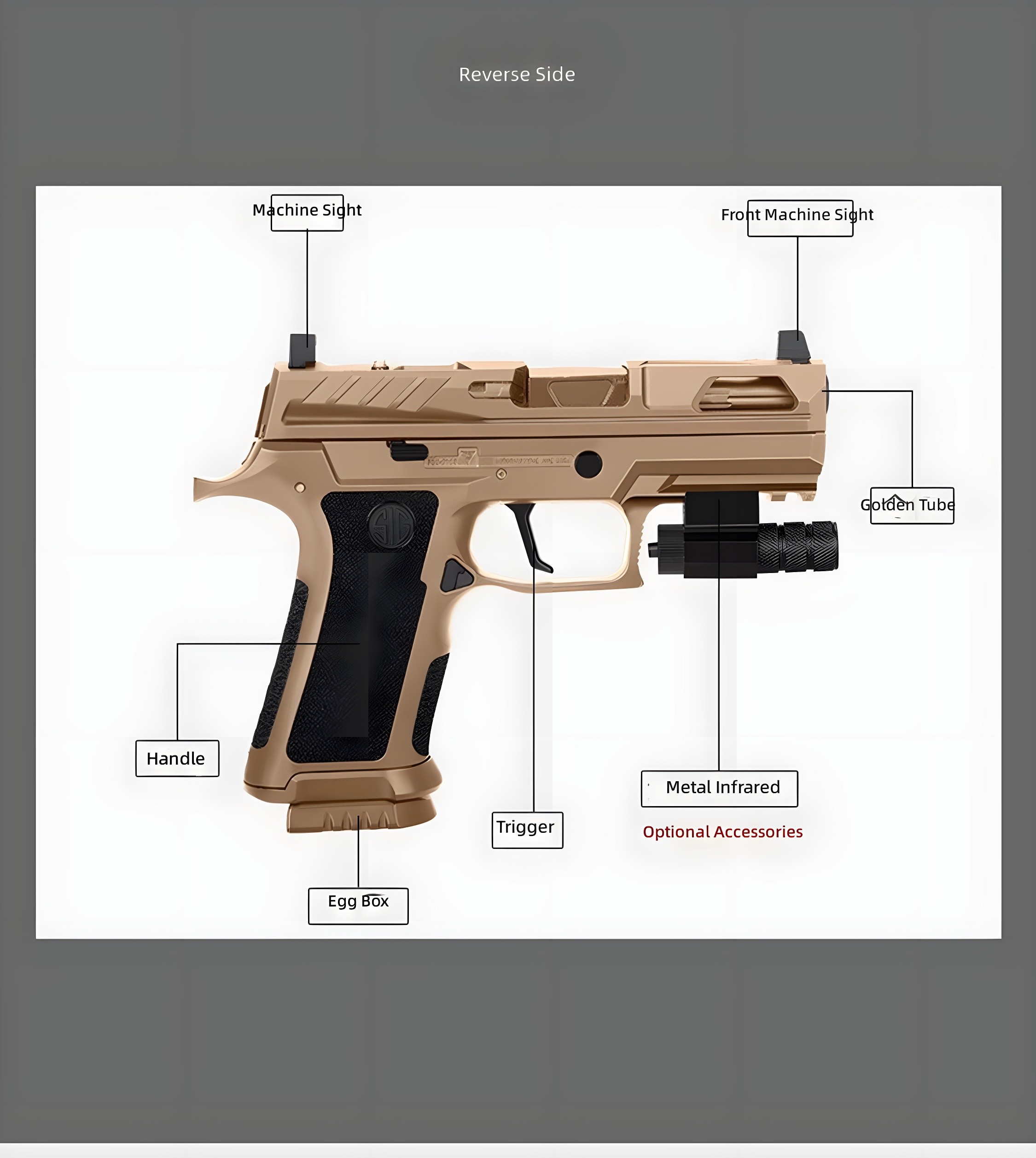 Reverse Side Diagram