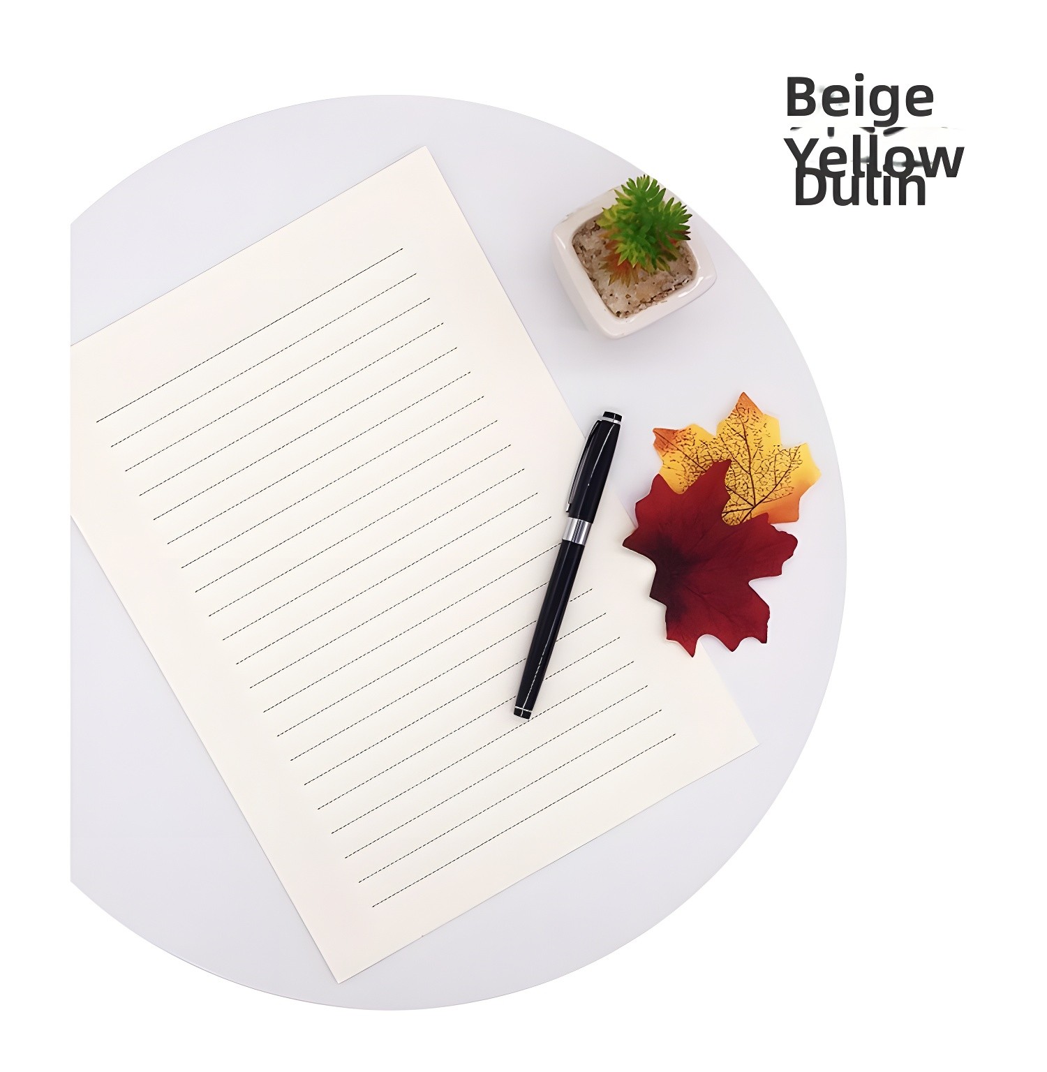 Beige Yellow Dulcin finish paper with black pen, succulent, and autumn leaves on a white circular tray