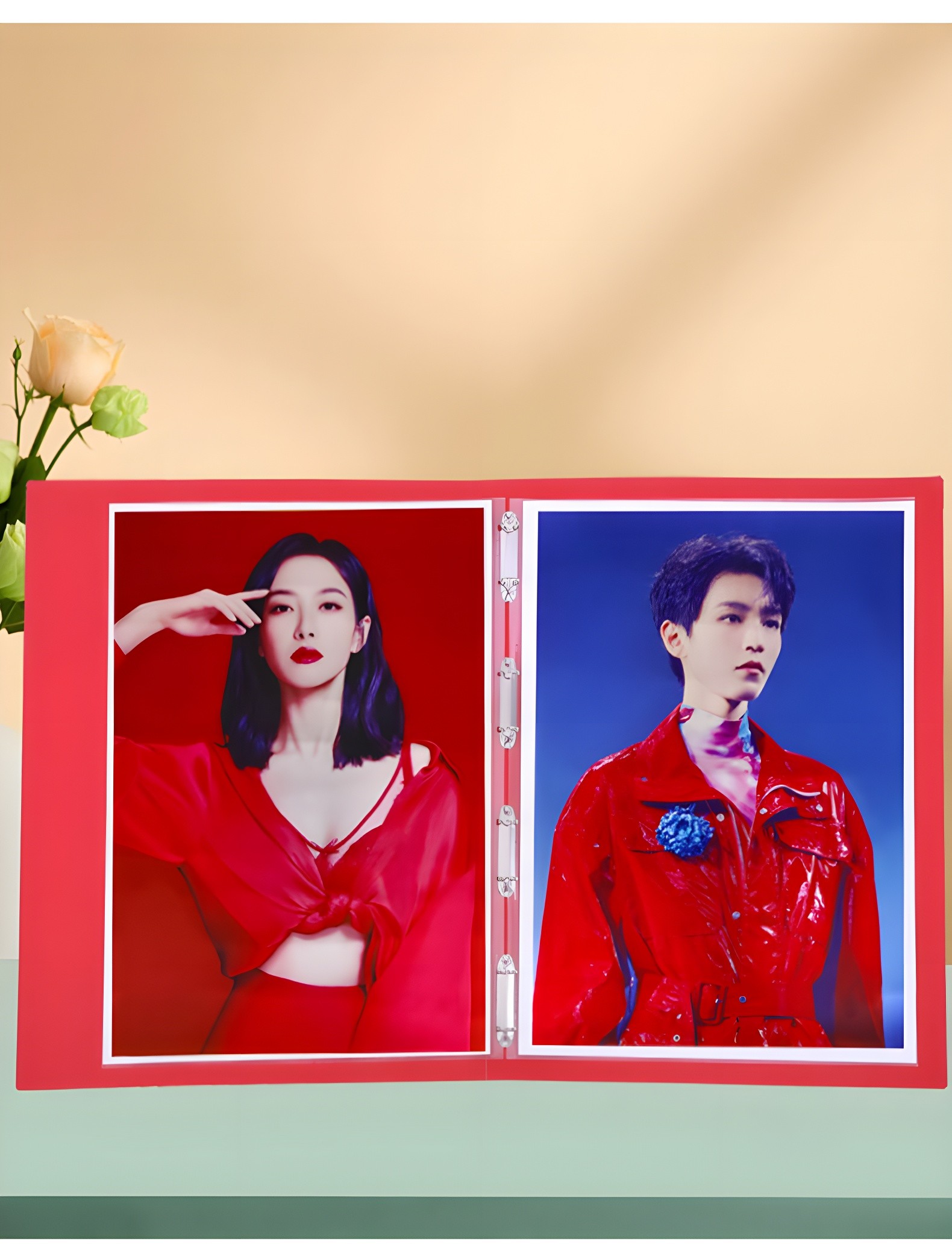 Red cover album open on pastel background with rose accent — showcasing vibrant color posters