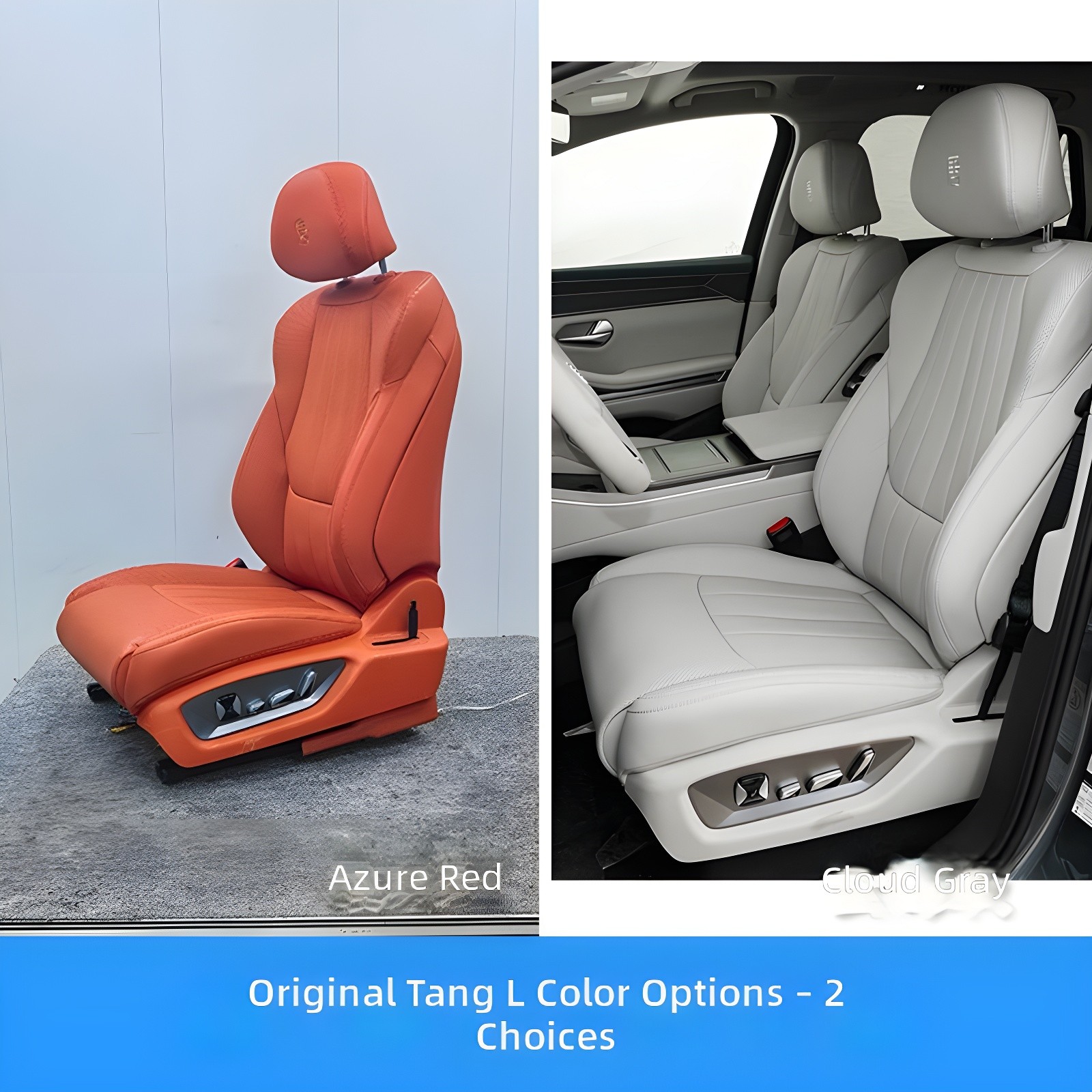 Tang L Driver's Seat Features Diagram