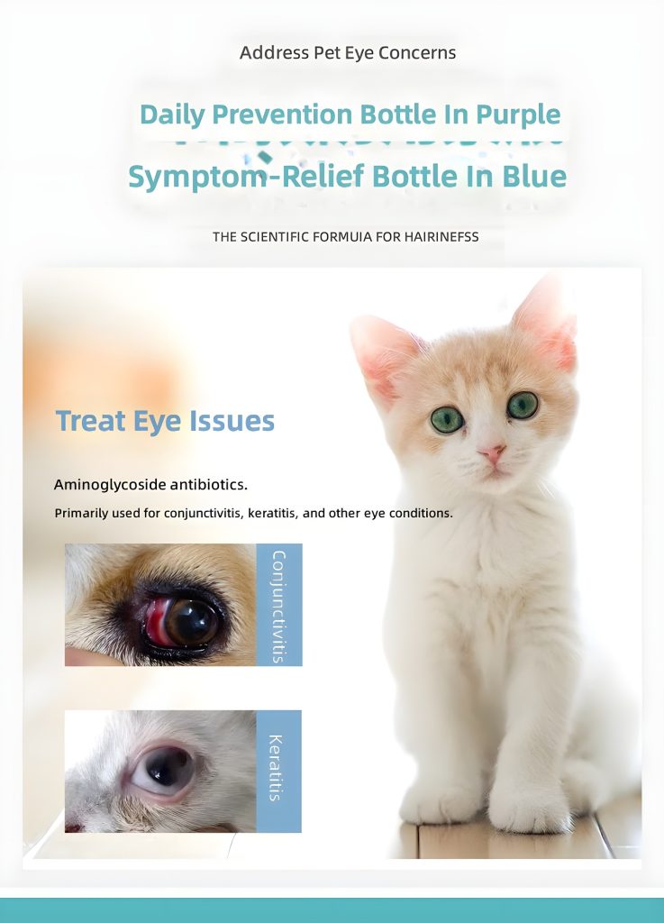 Comprehensive Ocular Wellness for Canines and Felines: The Scientifically Formulated Dual-Solution System for Pet Eye Health